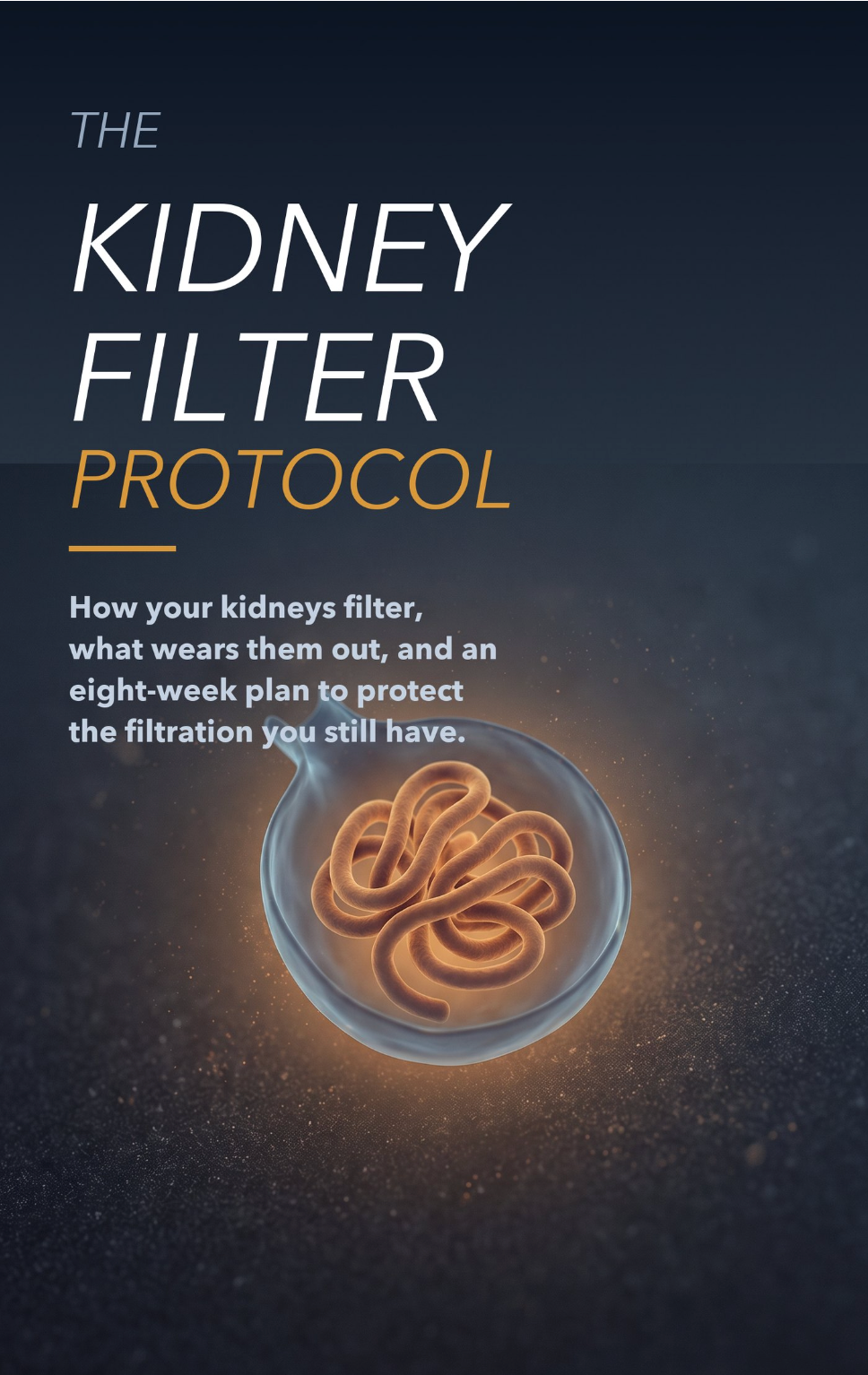 The Kidney Filter Protocol